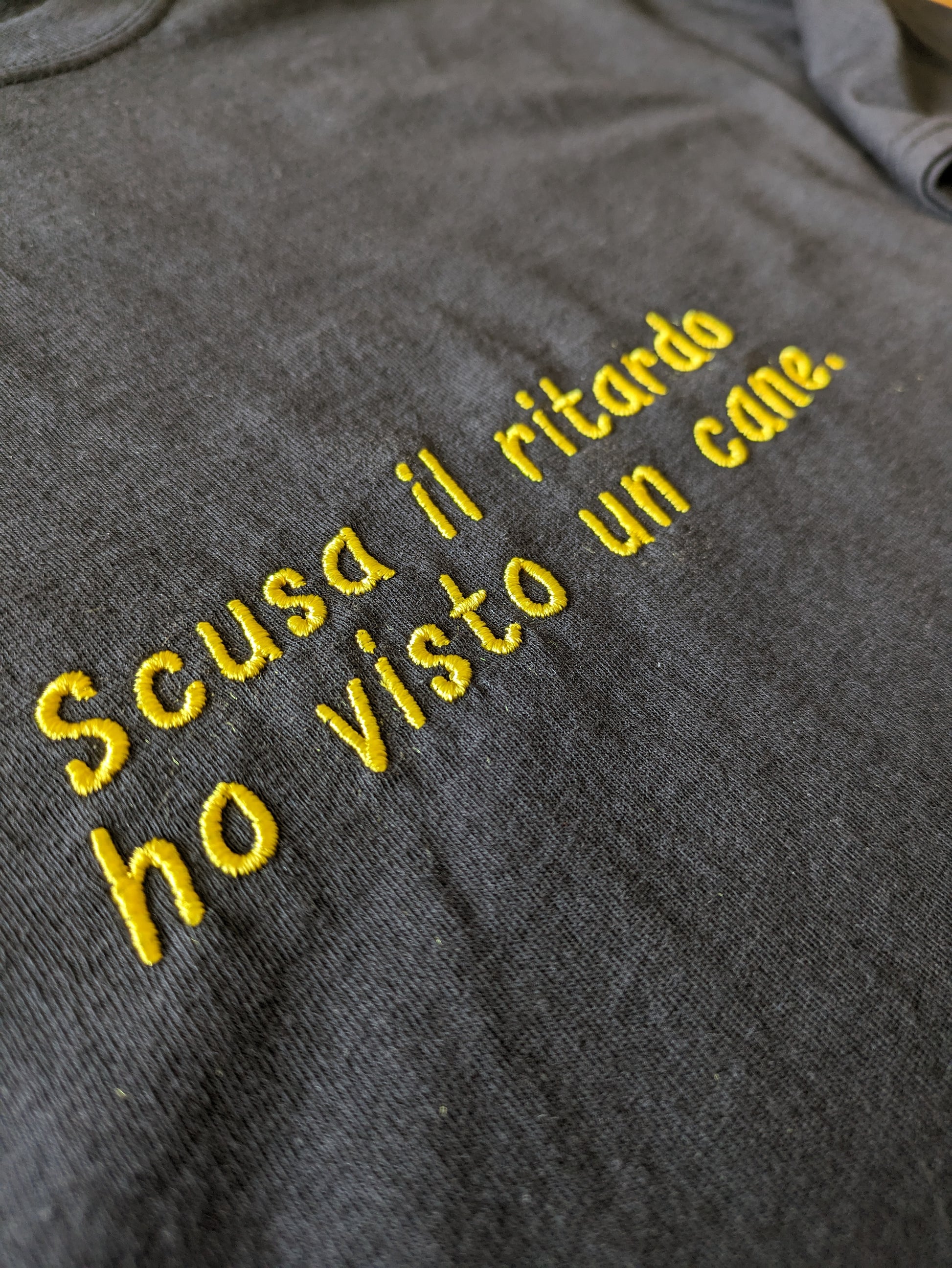 tshirt ricamata, t-shirt ricamata, scusa il ritardo ho visto un cane, dettaglio